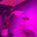 Підвісна світлодіодна лампа/панель для вирощування рослин 225 LED + шнурки Gardlov